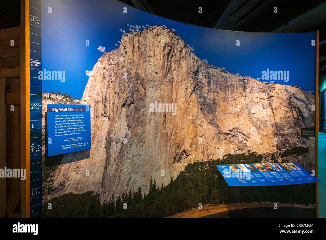 Interpretive display in the visitor center, Yosemite National Park