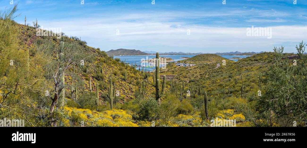 View of Lake Pleasant Regional Park, near Phoenix, Arizona, USA on a beautiful spring day. Stock Photo