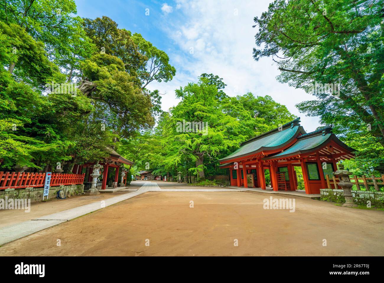 Katori Jingu Shrine in fresh green Stock Photo
