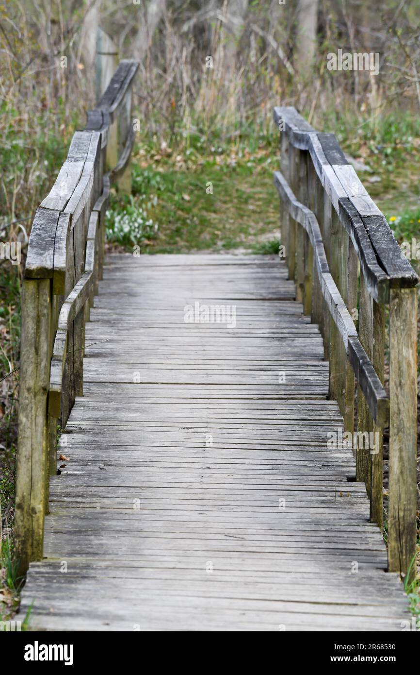 People walking through wooded park hi-res stock photography and images ...