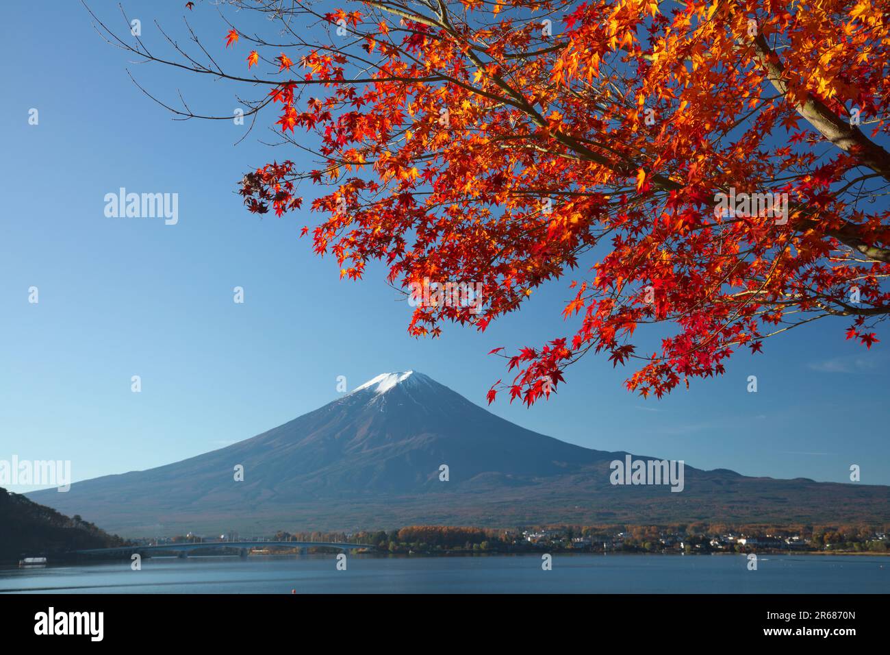 Fuji and Autumn Leaves of Maple Tree Stock Photo - Alamy