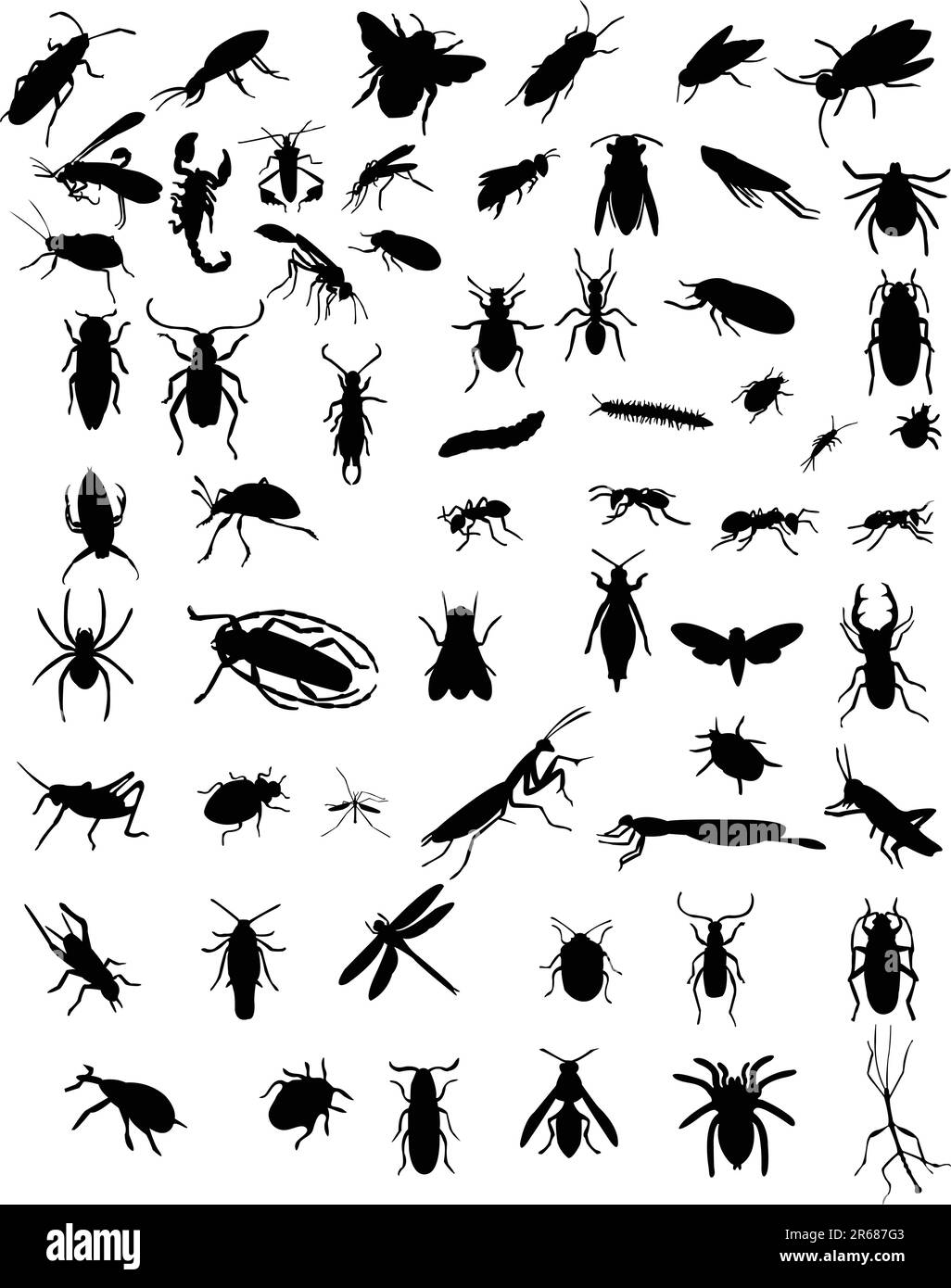 collection of 60 bugs - vector Stock Vector