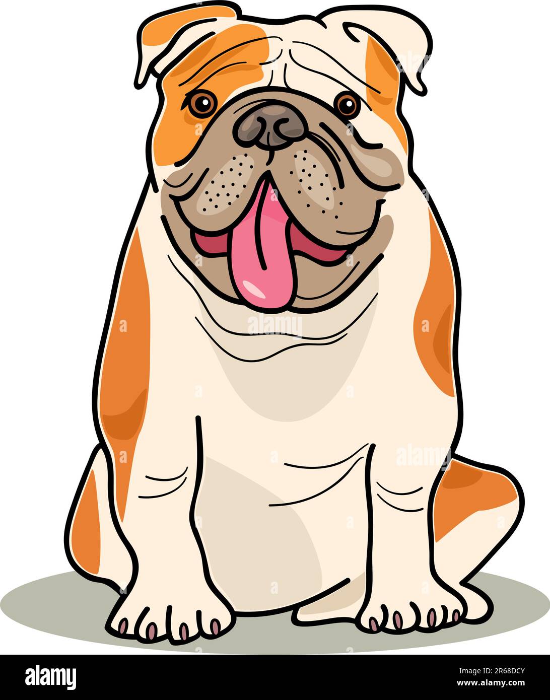 illustration of purebred english bulldog Stock Vector