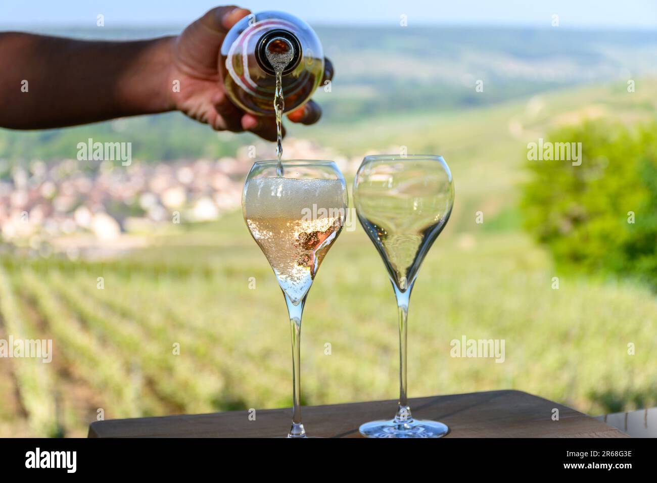 Tasting of premier cru sparkling white wine with bubbles champagne with