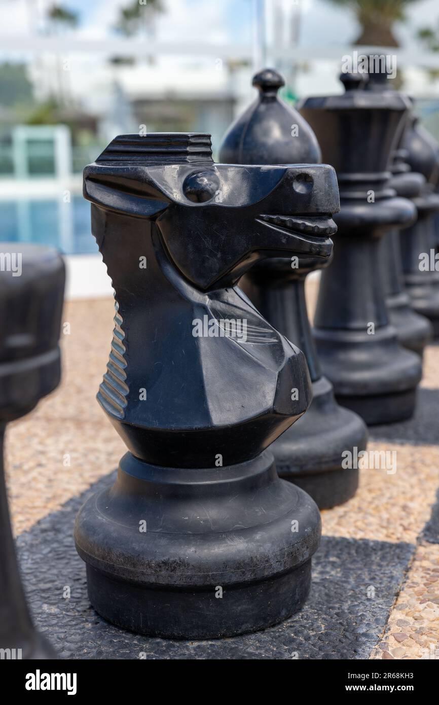 A close up image of a chessboard with an array of chess pieces arranged ...