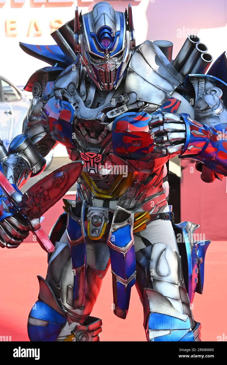 8s shop british knights
