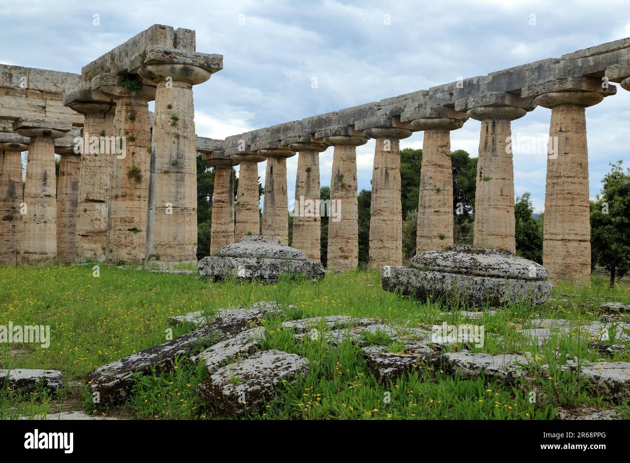 Greek temples of the ancient Greek city Paestum in Italy. Temple of