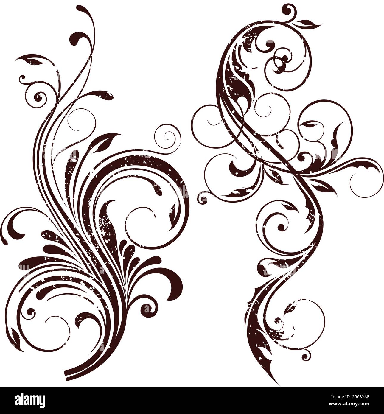 illustration drawing of floral design elements Stock Vector Image & Art