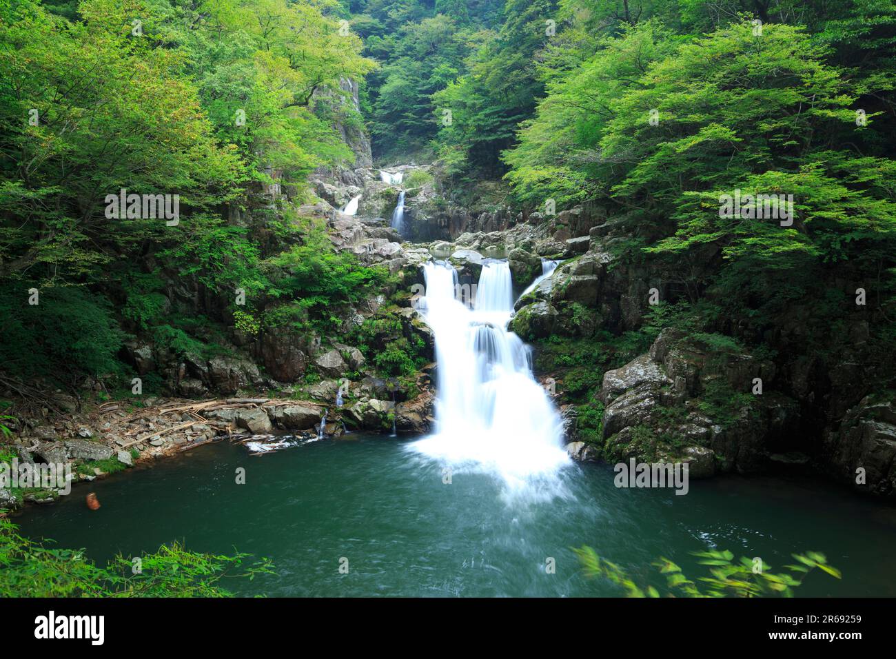 Mitsu hi-res stock photography and images - Alamy