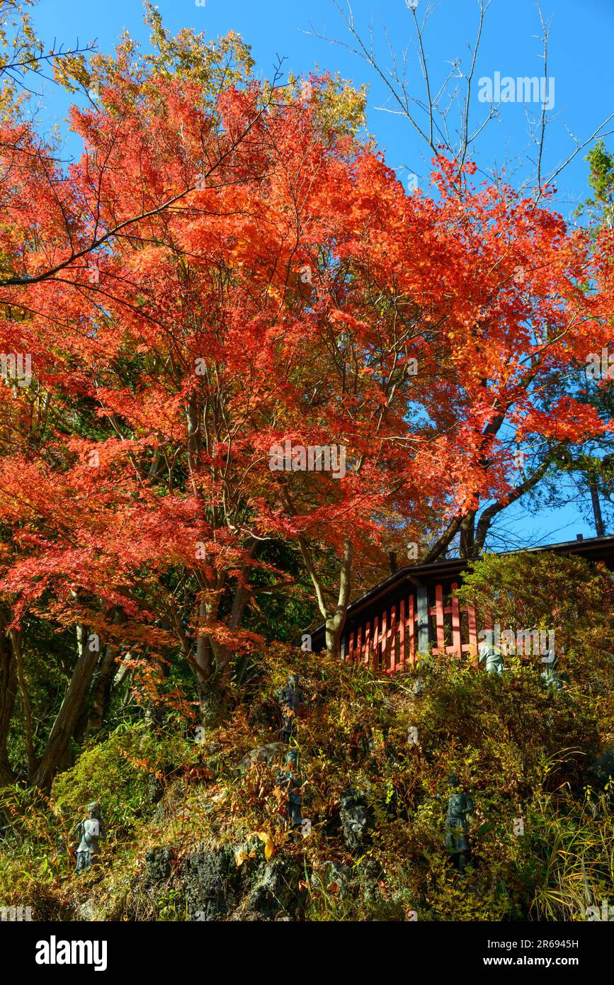Autumn colors of Mt. Takao Stock Photo
