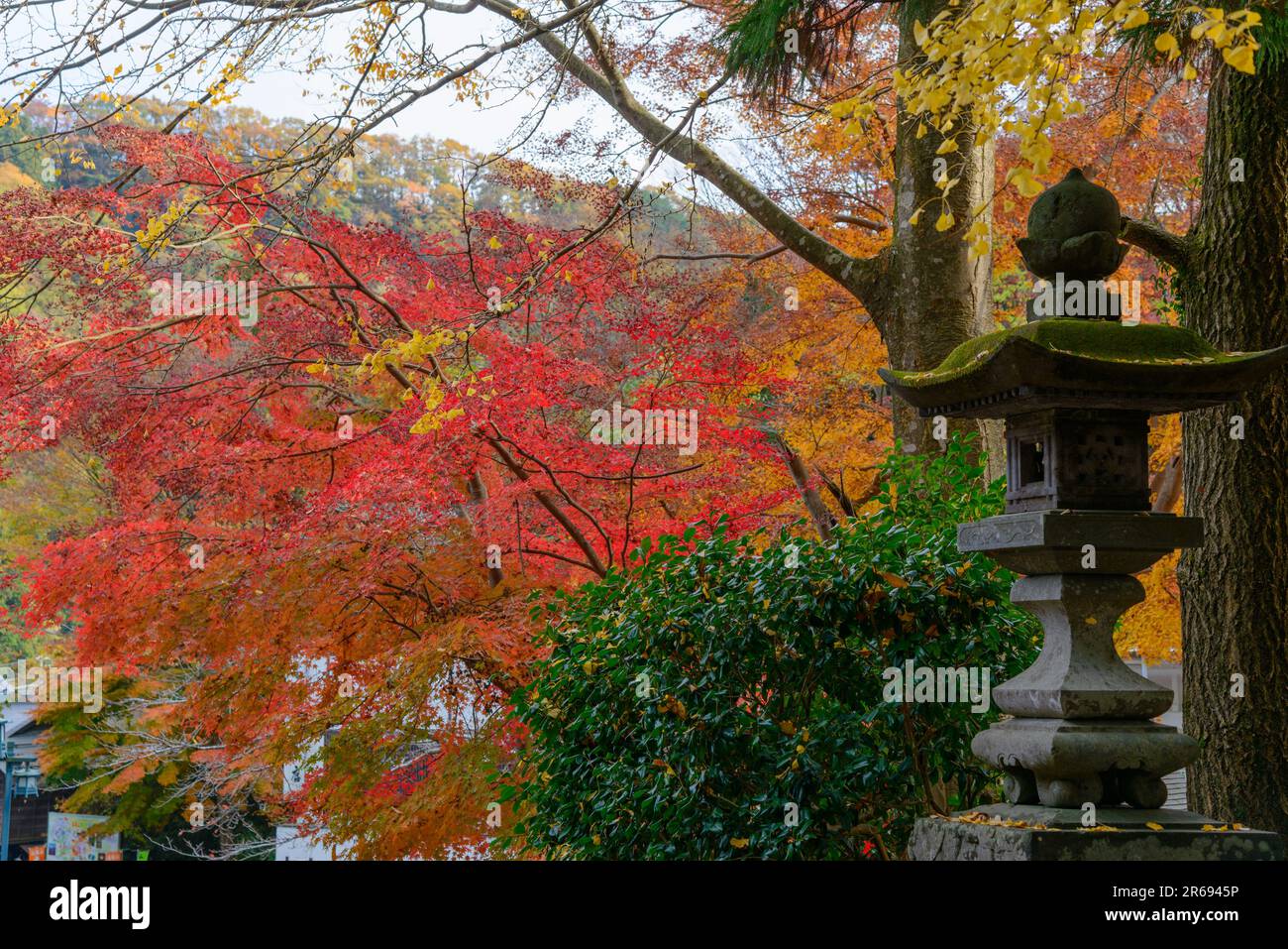 Autumn colors of Mt. Takao Stock Photo