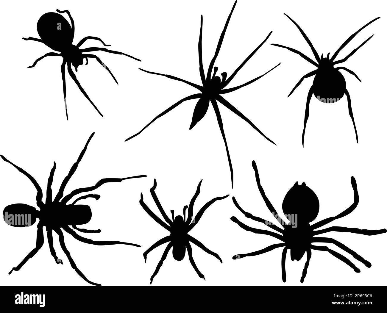 spiders silhouette collection vector Stock Vector Image &amp; Art - Alamy