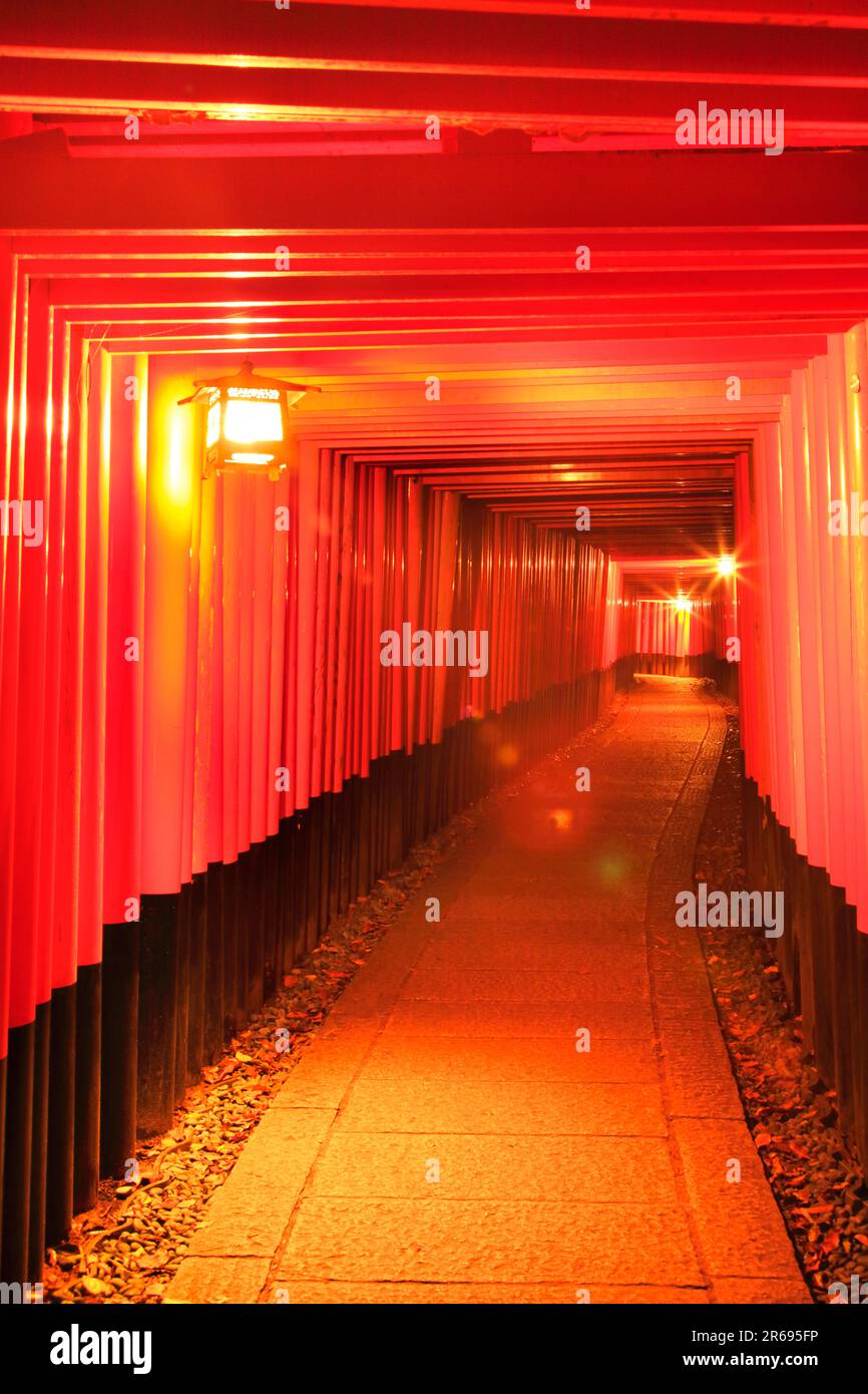 Senbon-torii gate of Kyoto Fushimi Inari-taisha shrine Stock Photo - Alamy