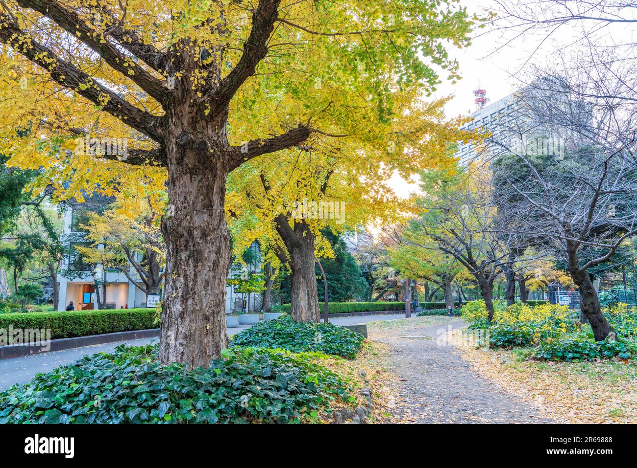 Hibiya Park in Autumn Stock Photo