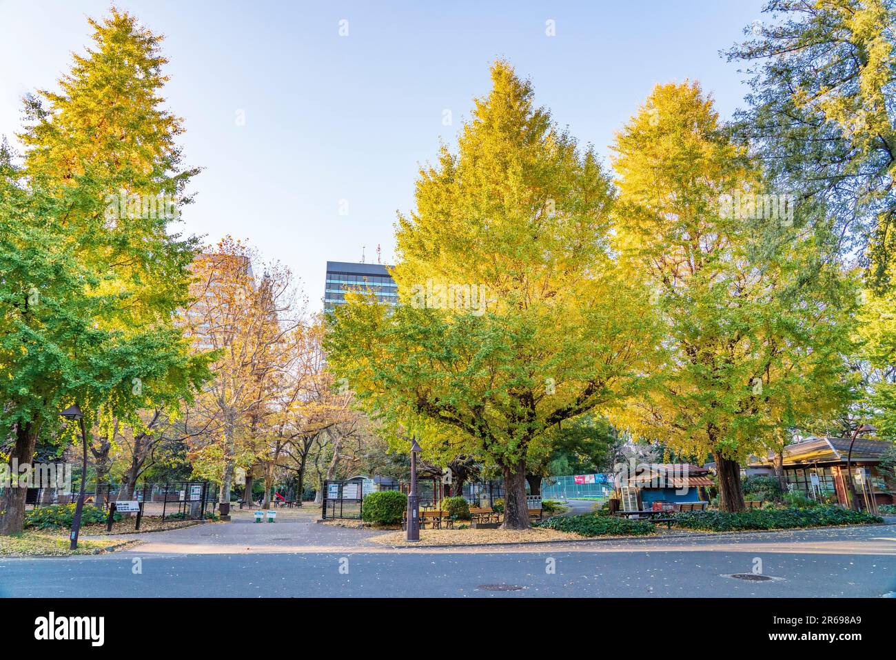 Hibiya Park in Autumn Stock Photo