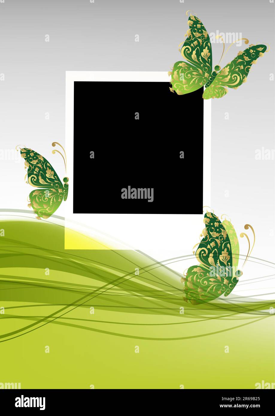 Green background with beautiful butterflies, insert your photo Stock ...