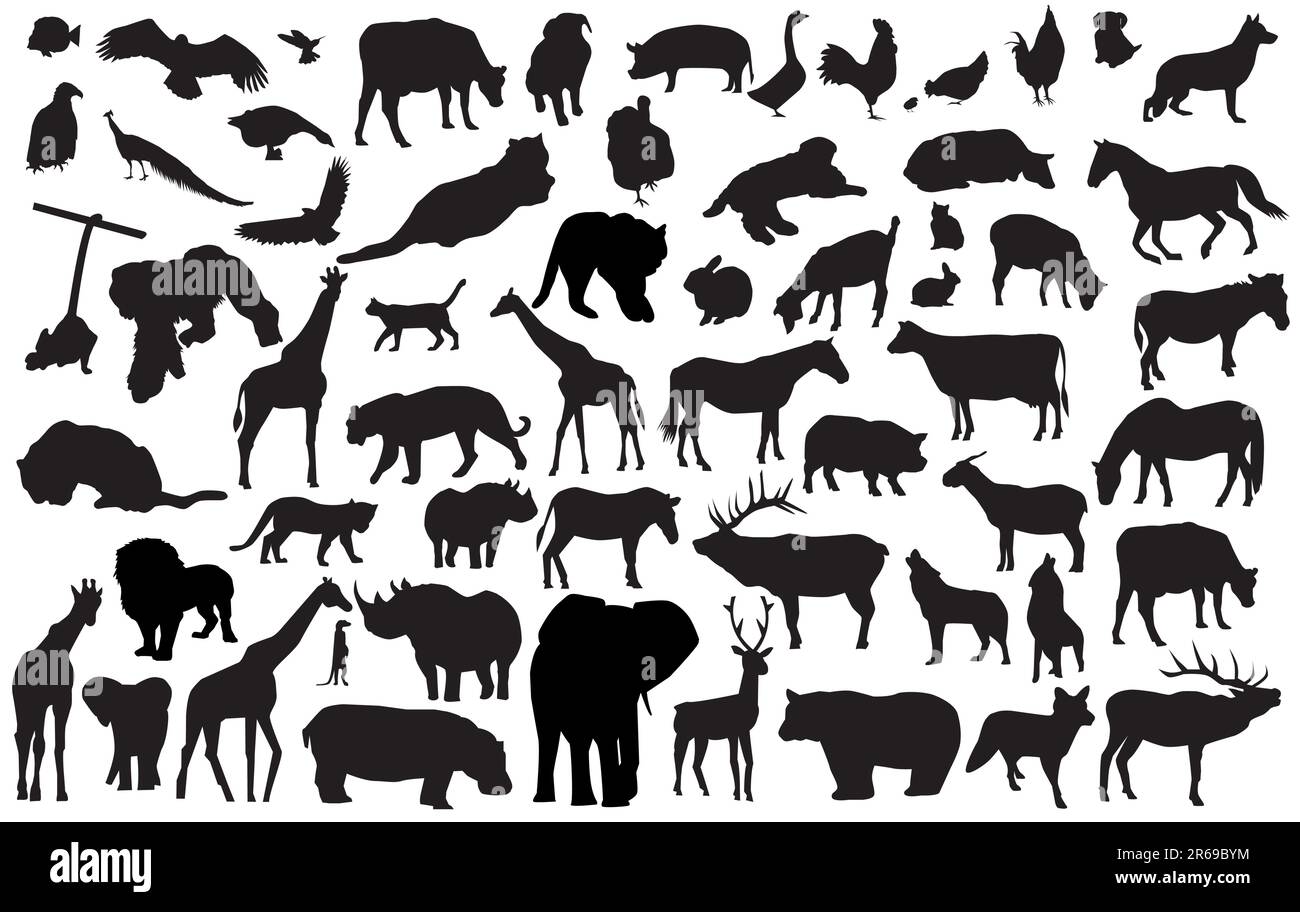vector silhouettes of different wild and domestic animals can be scaled ...