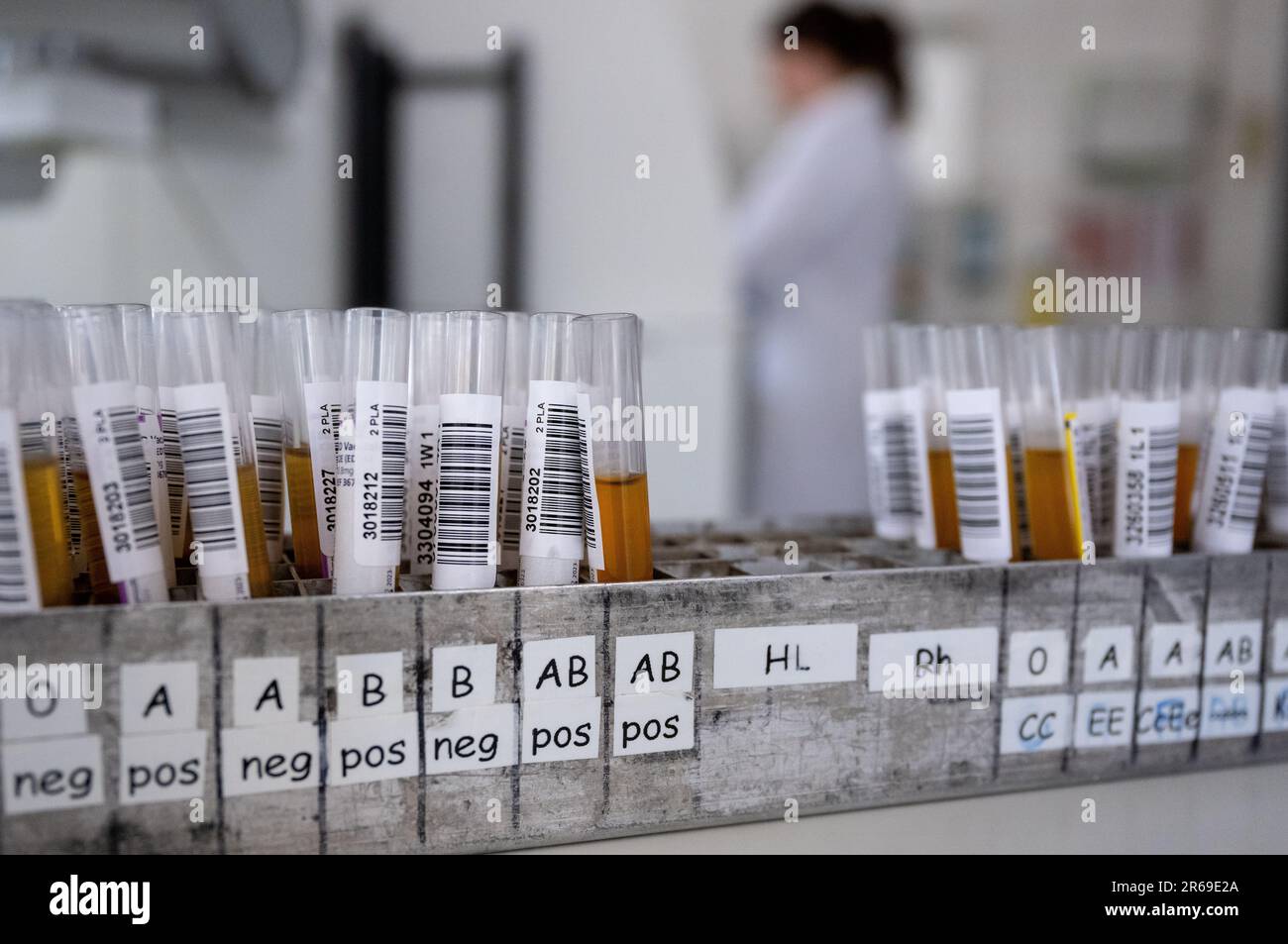 Munich, International. 07th June, 2023. Test tubes with blood samples
