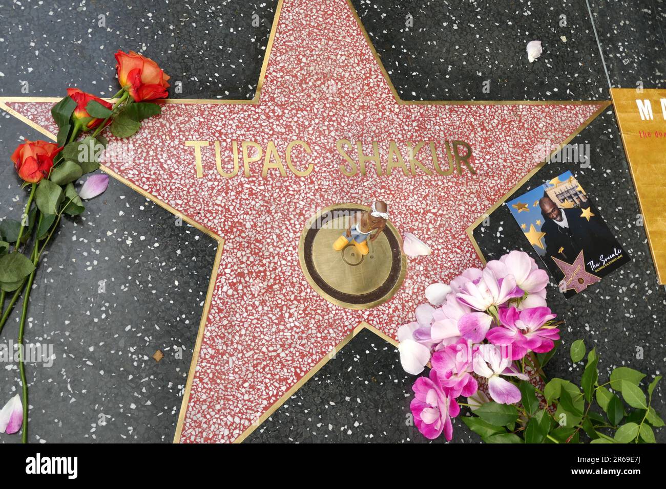Los Angeles, California, USA 7th June 2023 Rapper Tupac Shakur Hollywood Walk of Fame Star