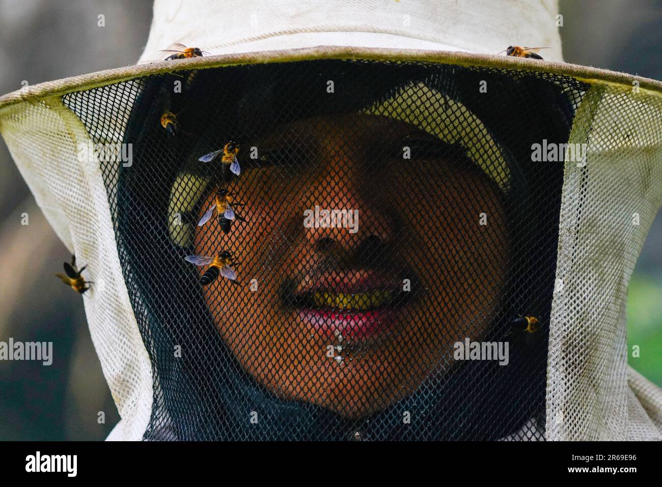 Nepal honey hunter hi-res stock photography and images - Alamy