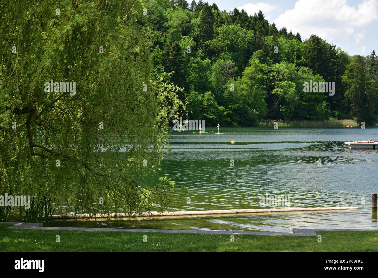 Tranquil lake scene with trees hi-res stock photography and images - Alamy