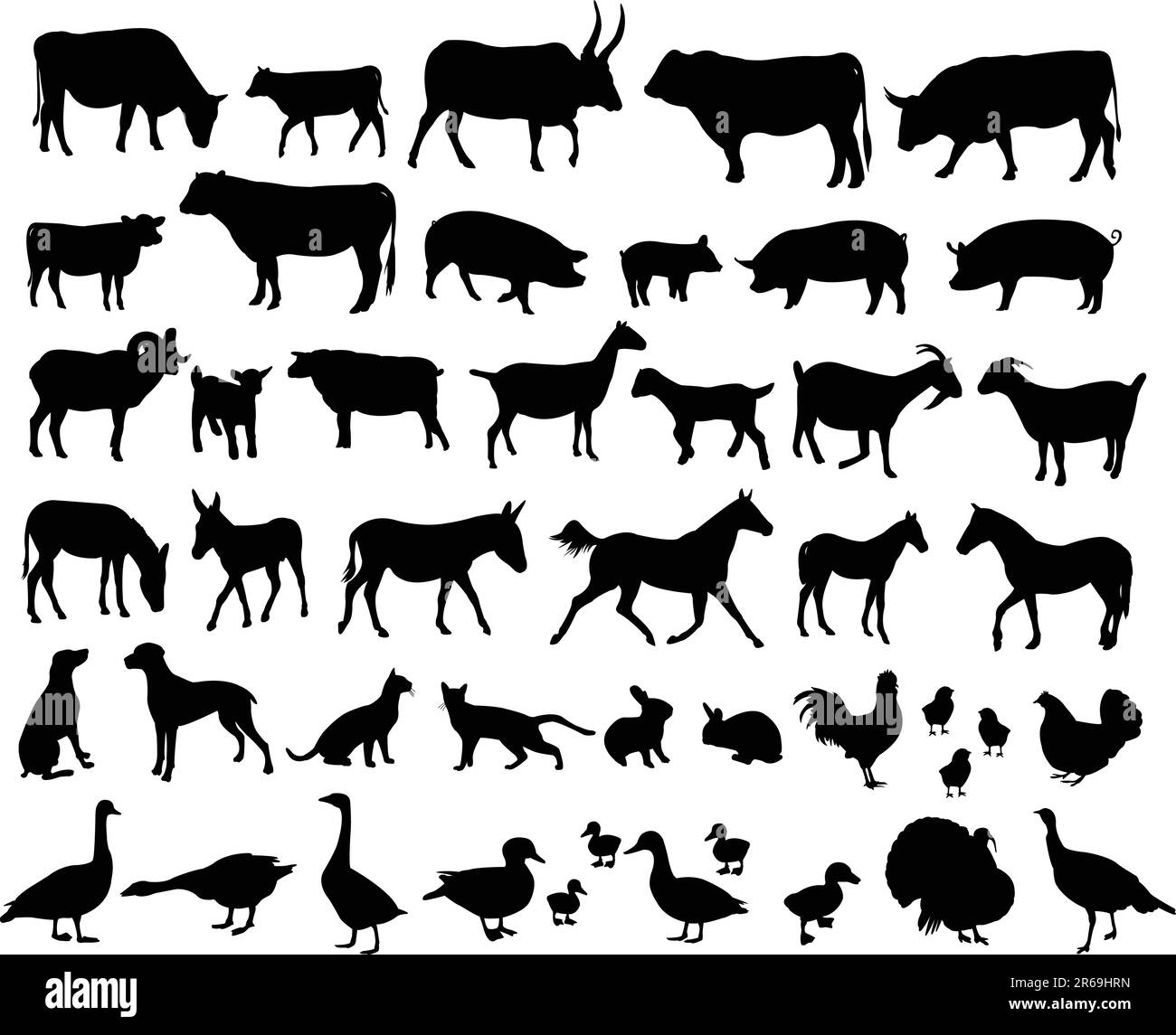 big collection of farm animals - vector Stock Vector Image & Art - Alamy