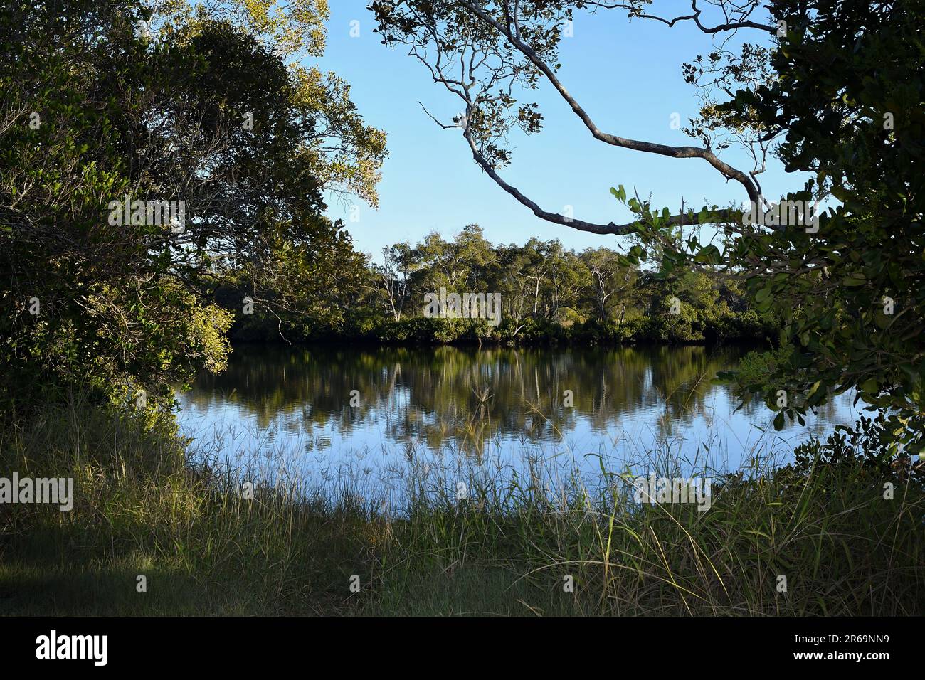 A wide shot of a section of the South Pine river, Bald Hills, Queensland, Australia in early morning sunlight, looking north to a clear blue sky Stock Photo