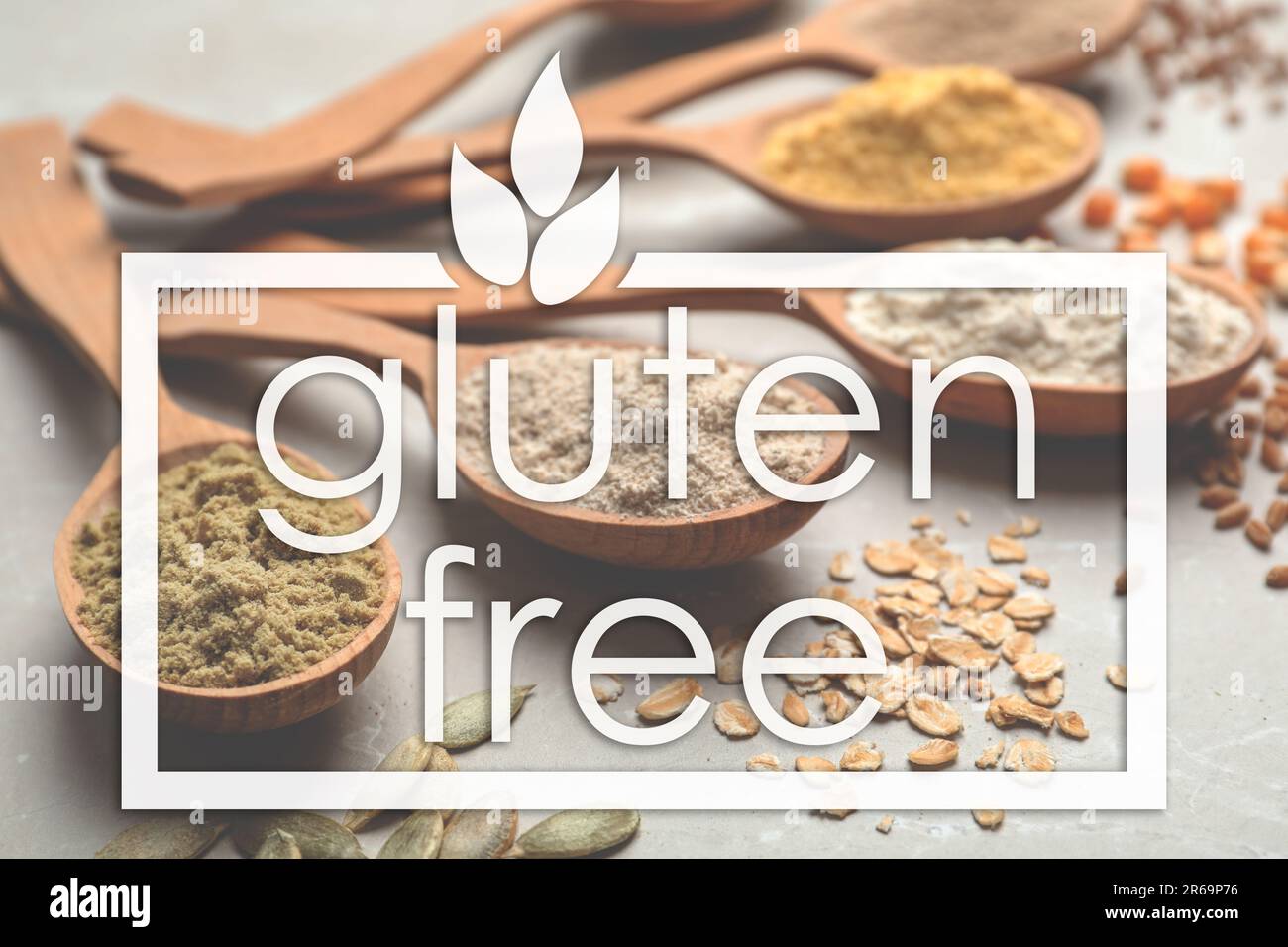 Gluten free products. Spoons with different types of flour on table and