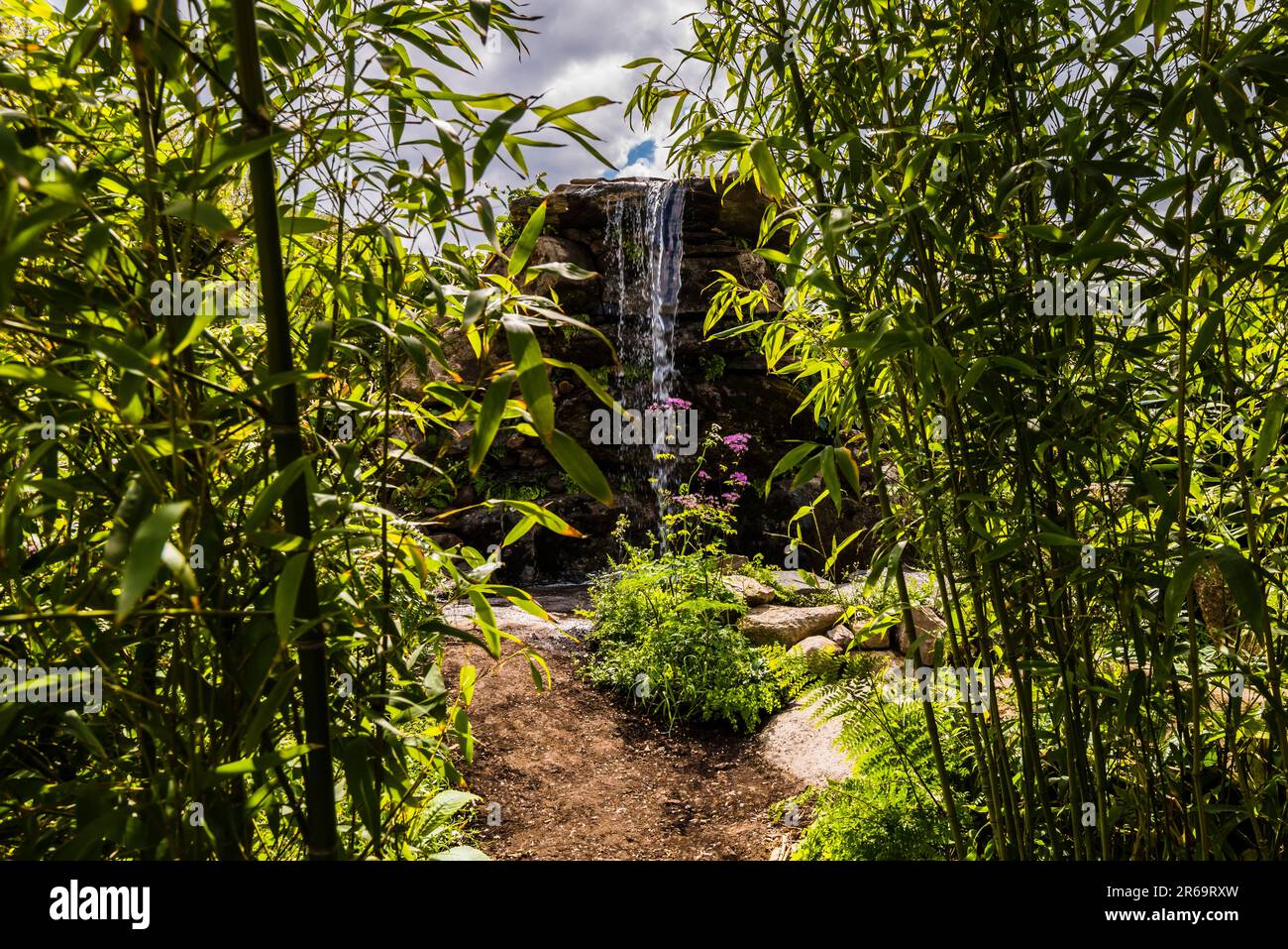 The waterfall through the bamboos at The Fauna & Flora Garden designed by Jilayne Rickards at the 2023 RHS Chelsea Flower Show, London, UK Stock Photo