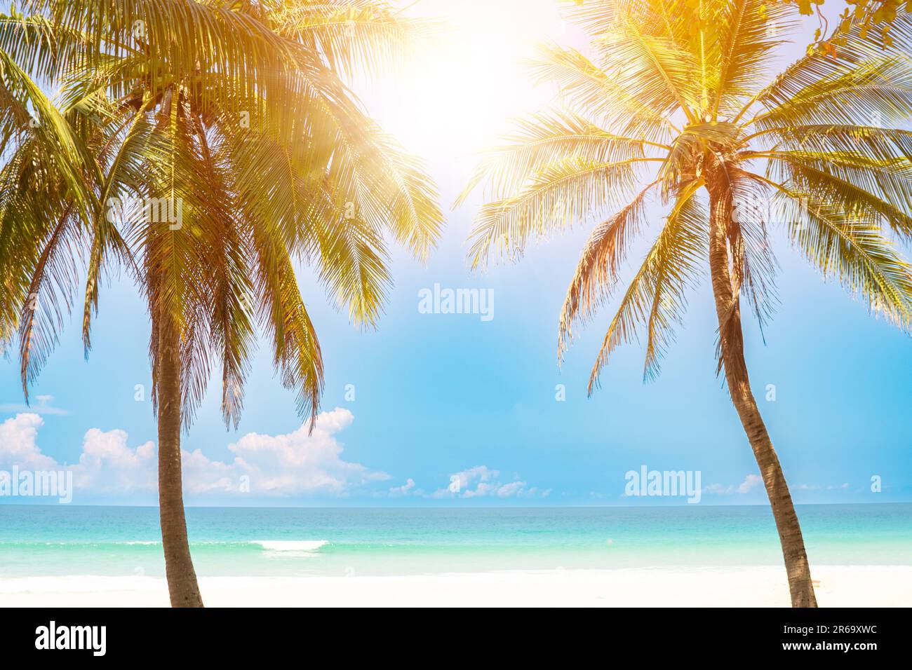 Tropical beach and coconut palm tree with blue sky background Stock ...