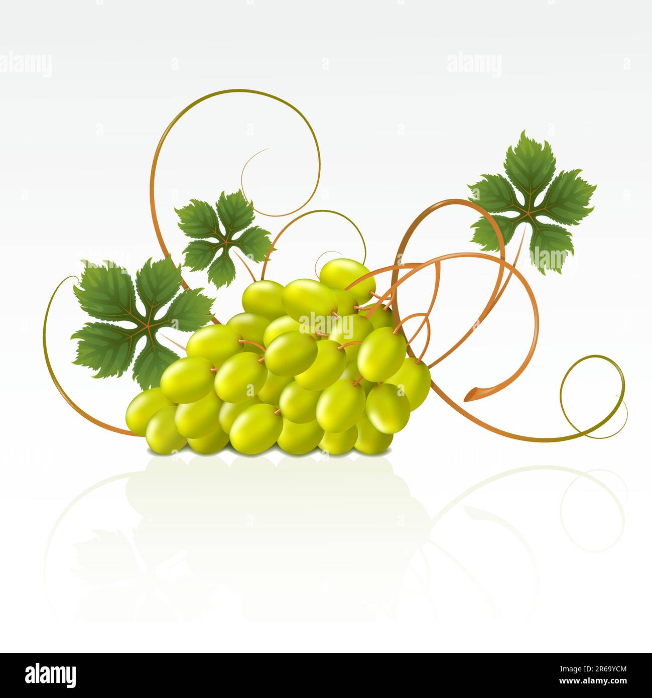 Green background grapes leaves Stock Vector Images - Alamy