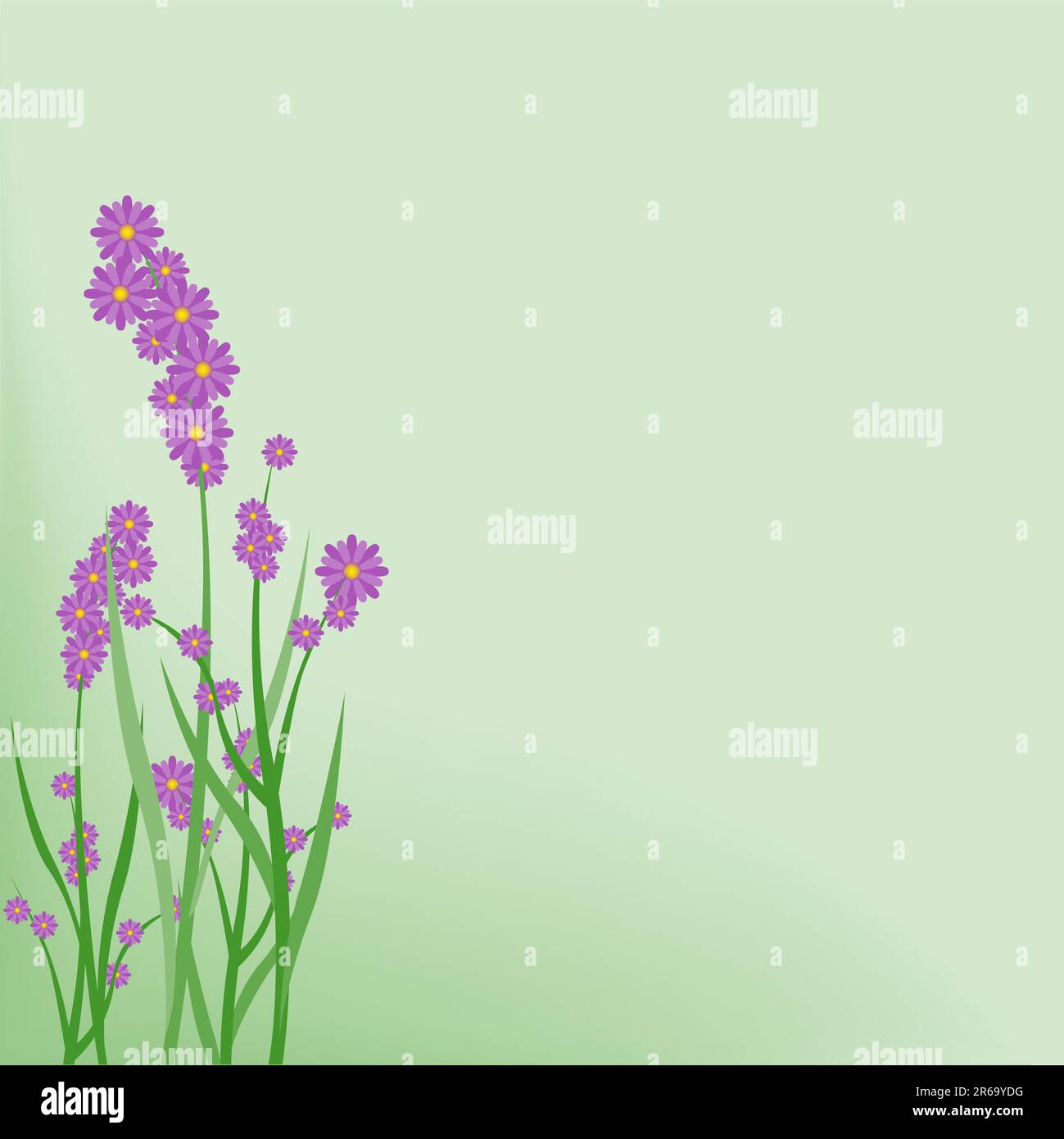 Floral background 02 - Coloured vector illustration with violet flowers ...