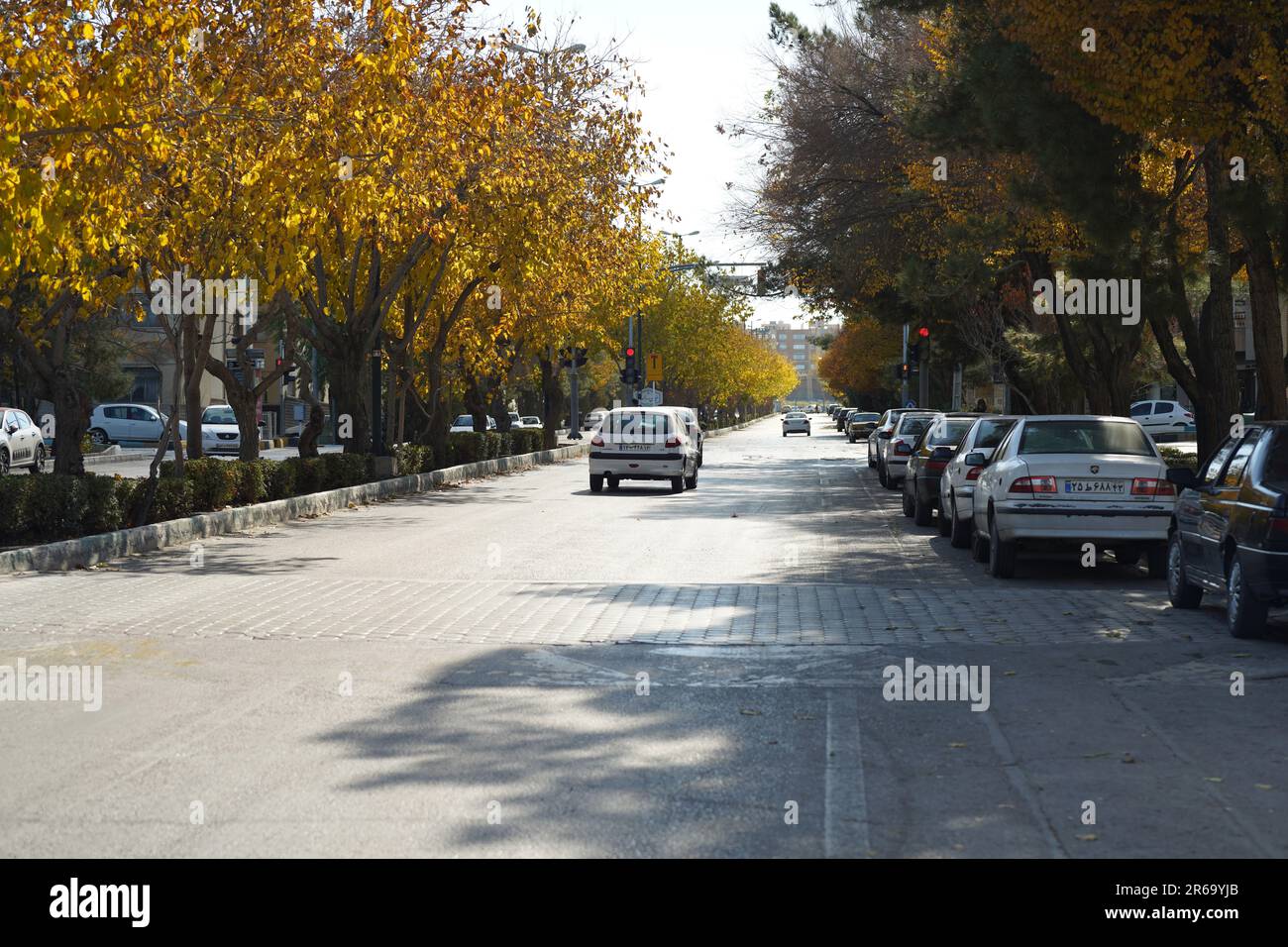 Street during car traffic Stock Photo