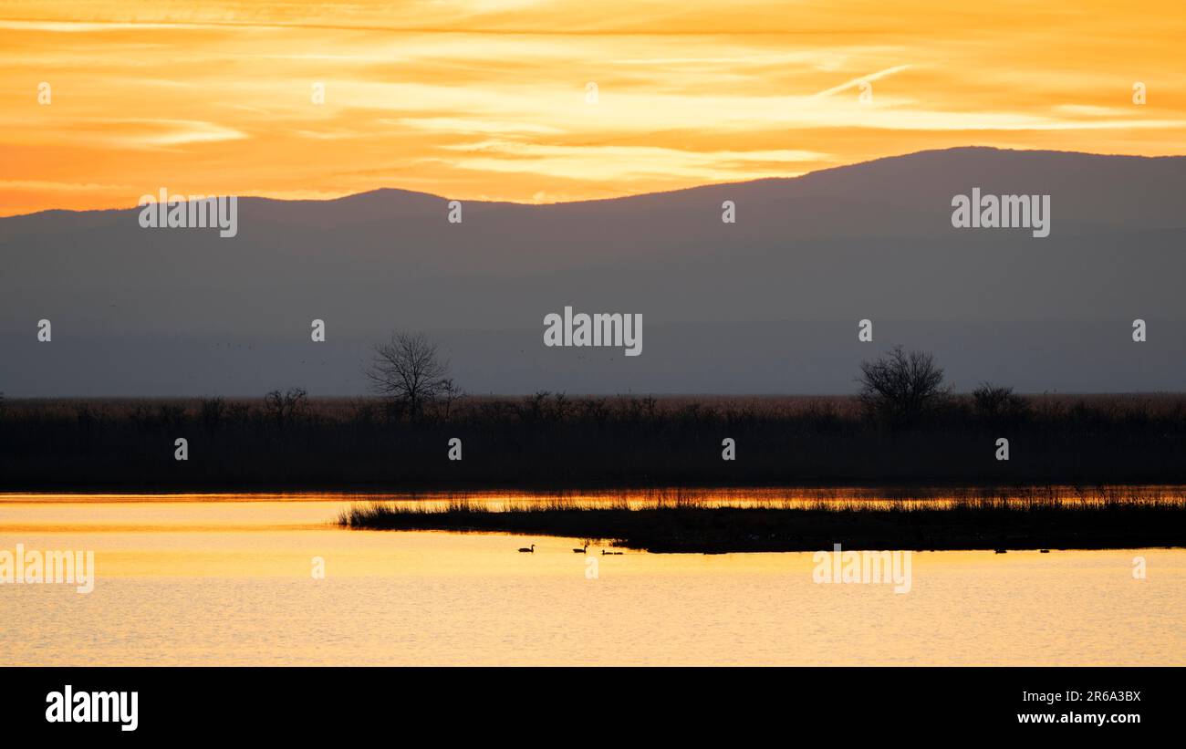 Sunset in the Mexikopuszta, Mexikopuszta, Lake Neusiedl Seewinkel National Park, Fertoe-Hansag Nemzeti Park, Fertoe-Hansag, Hungary Stock Photo