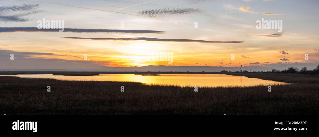 Sunset in the Mexikopuszta, Mexikopuszta, Lake Neusiedl Seewinkel National Park, Fertoe-Hansag Nemzeti Park, Fertoe-Hansag, Hungary Stock Photo