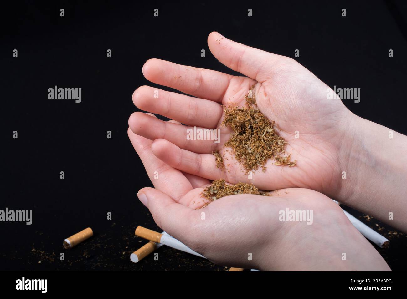 cutting tobacco by hand Cut tobacco in hand as a smoking concept Stock Photo