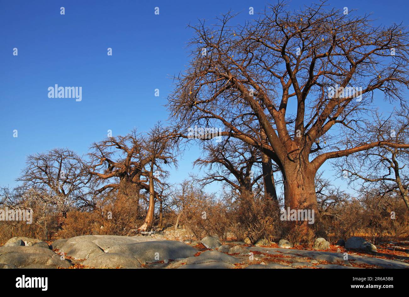 Kubu Island (lekhubu island) im S Stock Photo