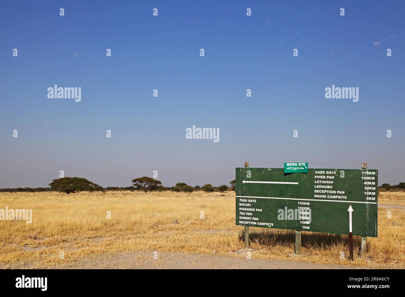 Im Deception Valley, Central Kalahari Game Reserve, Botswana, Deception Valley in Central Kalahari Game Reserve, Botsuana Stock Photo