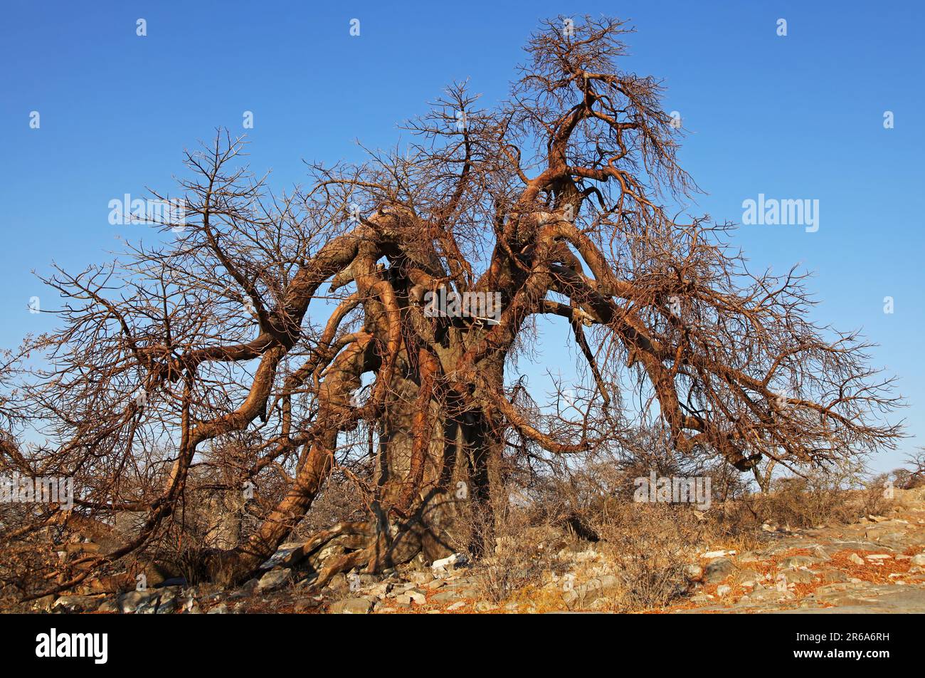 Kubu Island (lekhubu island) in the S Stock Photo