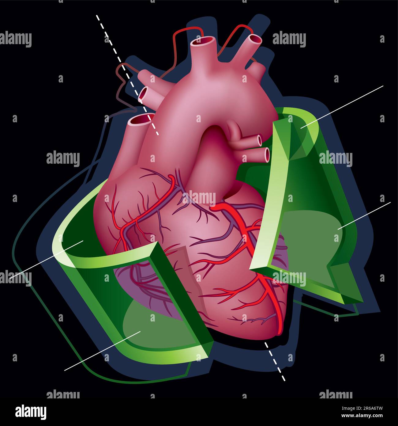 Human Heart with Axes and Green Transparent Arrow around it on Black Background. Vector Illustration (EPS v8.0) Stock Vector