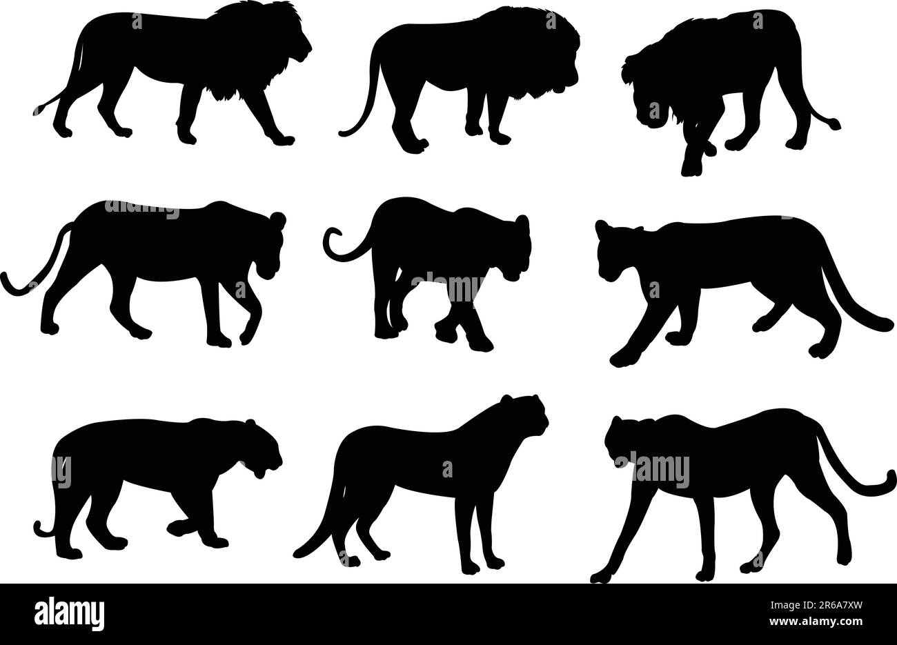 wild cats silhouettes - vector Stock Vector