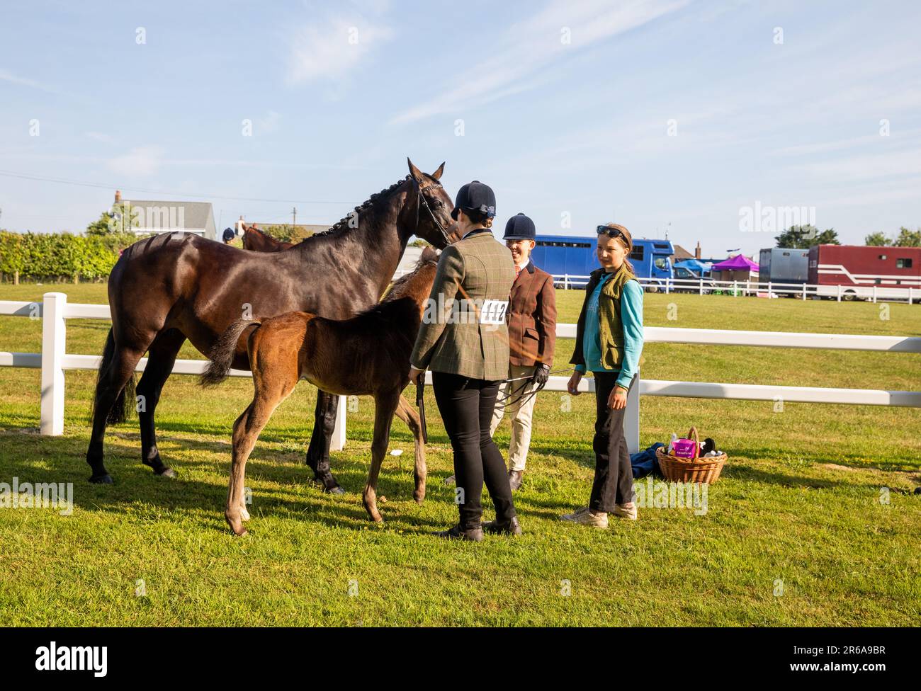 Wadebridge, Cornwall,8th June 2023, The Royal Cornwall Show is the County's biggest event with something for every member of the Family. It runs for 3 days with the best in farming, food, entertainment and shopping. Its a huge agricultural show people flock from all over the country to attend. Credit: Keith Larby/Alamy Live News Stock Photo