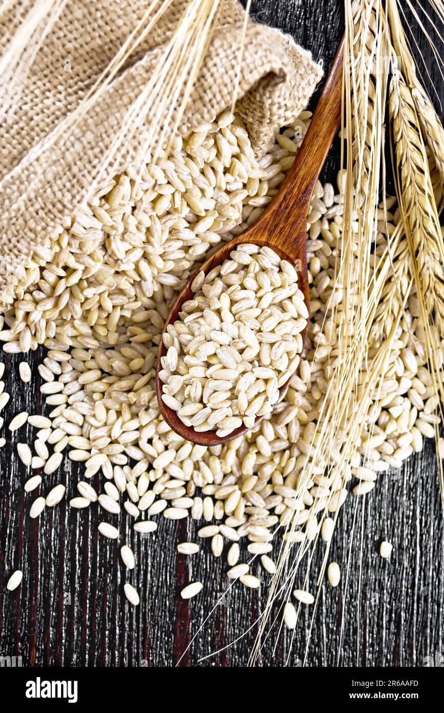 Spelled in a spoon, in a burlap bag and on the table, stalks with ears of wheat on dark wooden board background from above Stock Photo