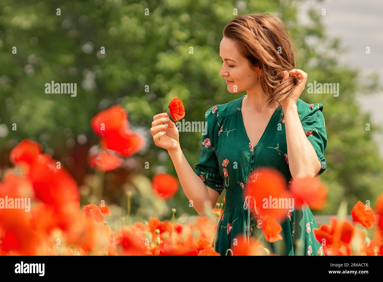 a young white woman collects red poppies in a poppy field, the wind plays in her hair,the atmosphere of freedom,vacation,love,travel around the world. Stock Photo