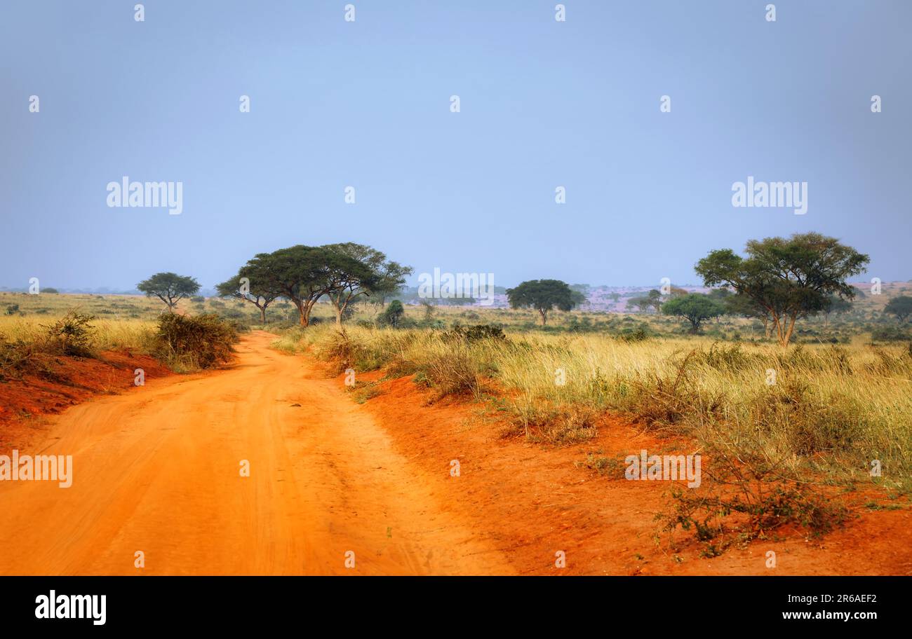 Sandstrasse durch den Murchison Falls National Park Uganda Stock Photo