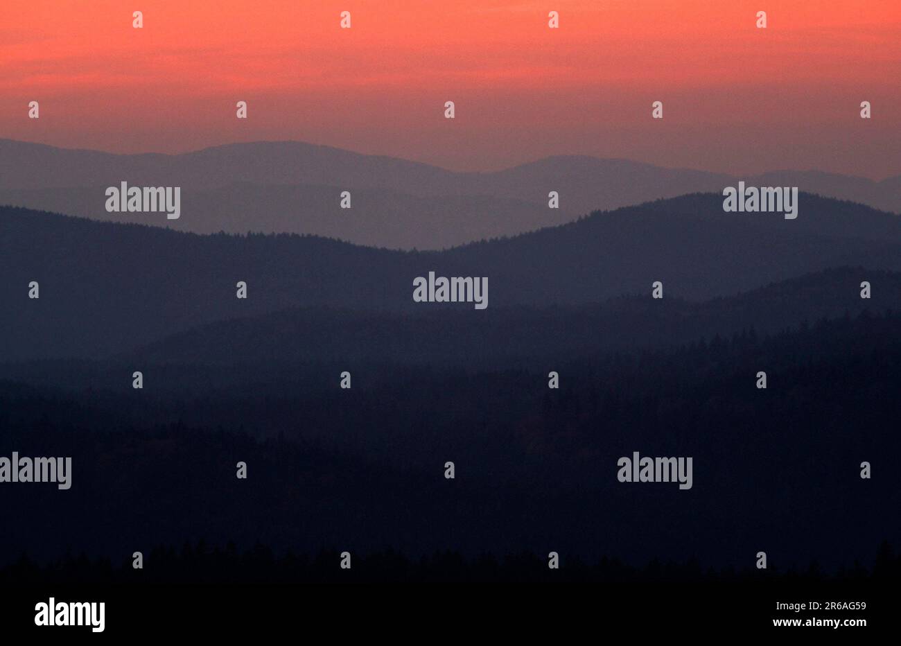 Bavarian Forest at dusk, National Park (Uebersicht) (overview) (Stimmung) (mood) (Europe) (Landschaften) (landscapes) (Gebirge) (Berge) (mountas) Stock Photo