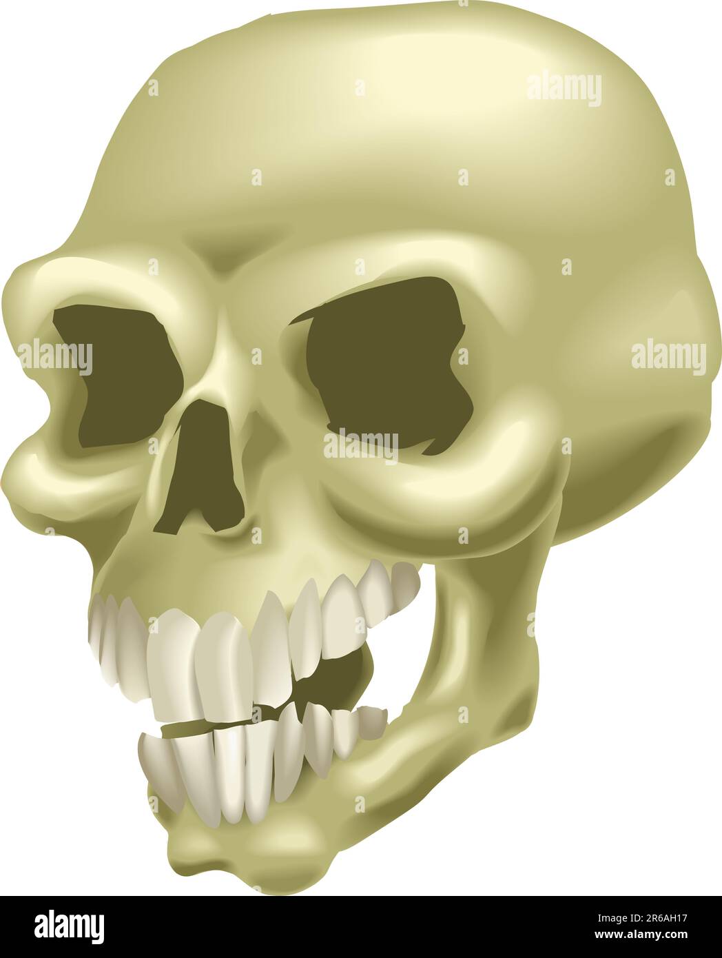 A human skull. No meshes used. Stock Vector