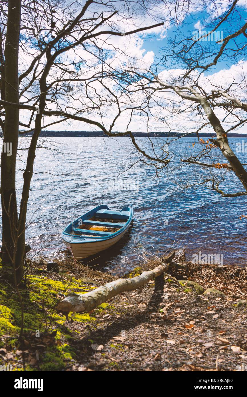 boat floating in the water near a forest Stock Photo - Alamy