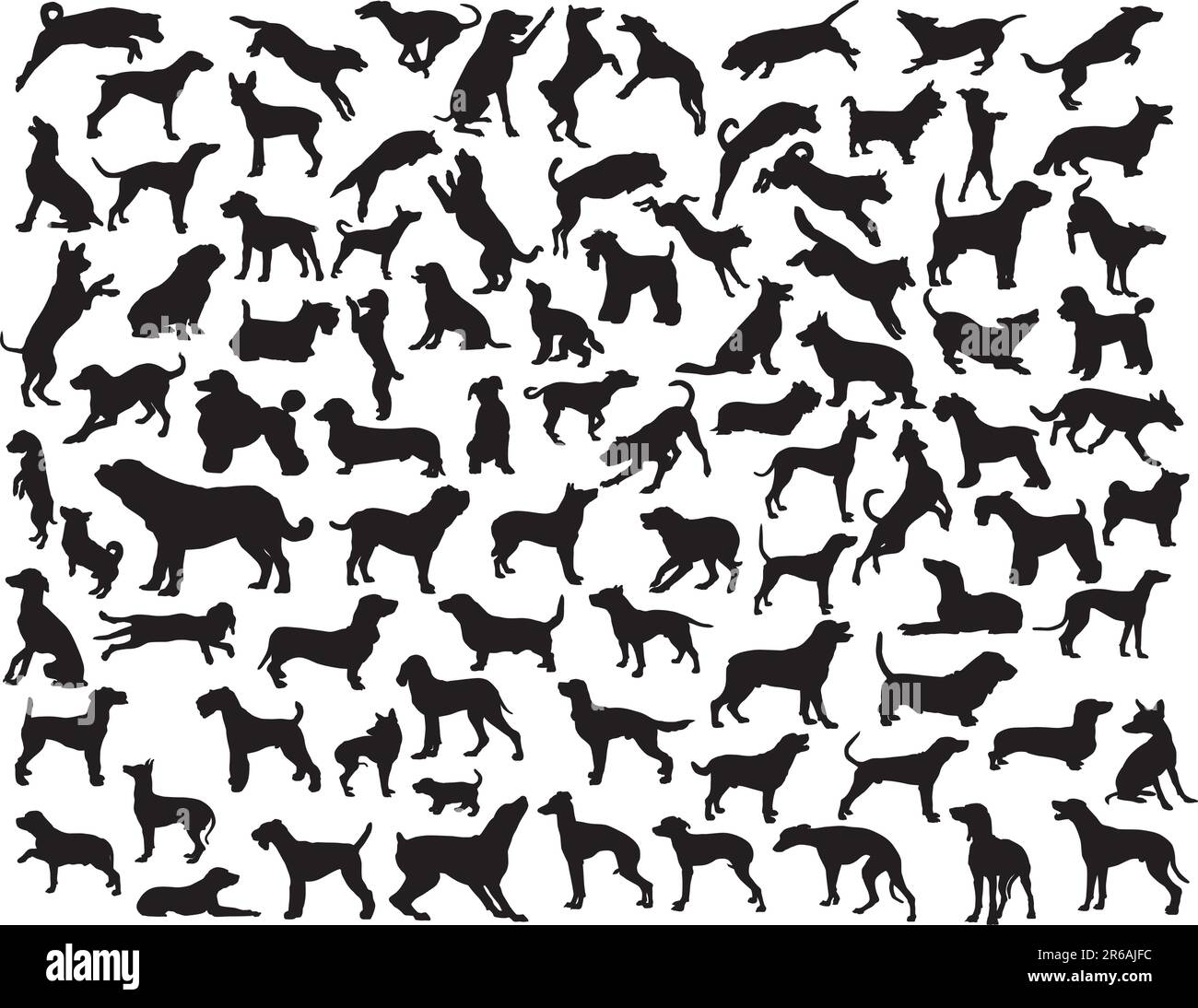 Collection of vector silhouettes of various dog breeds and poses Stock ...