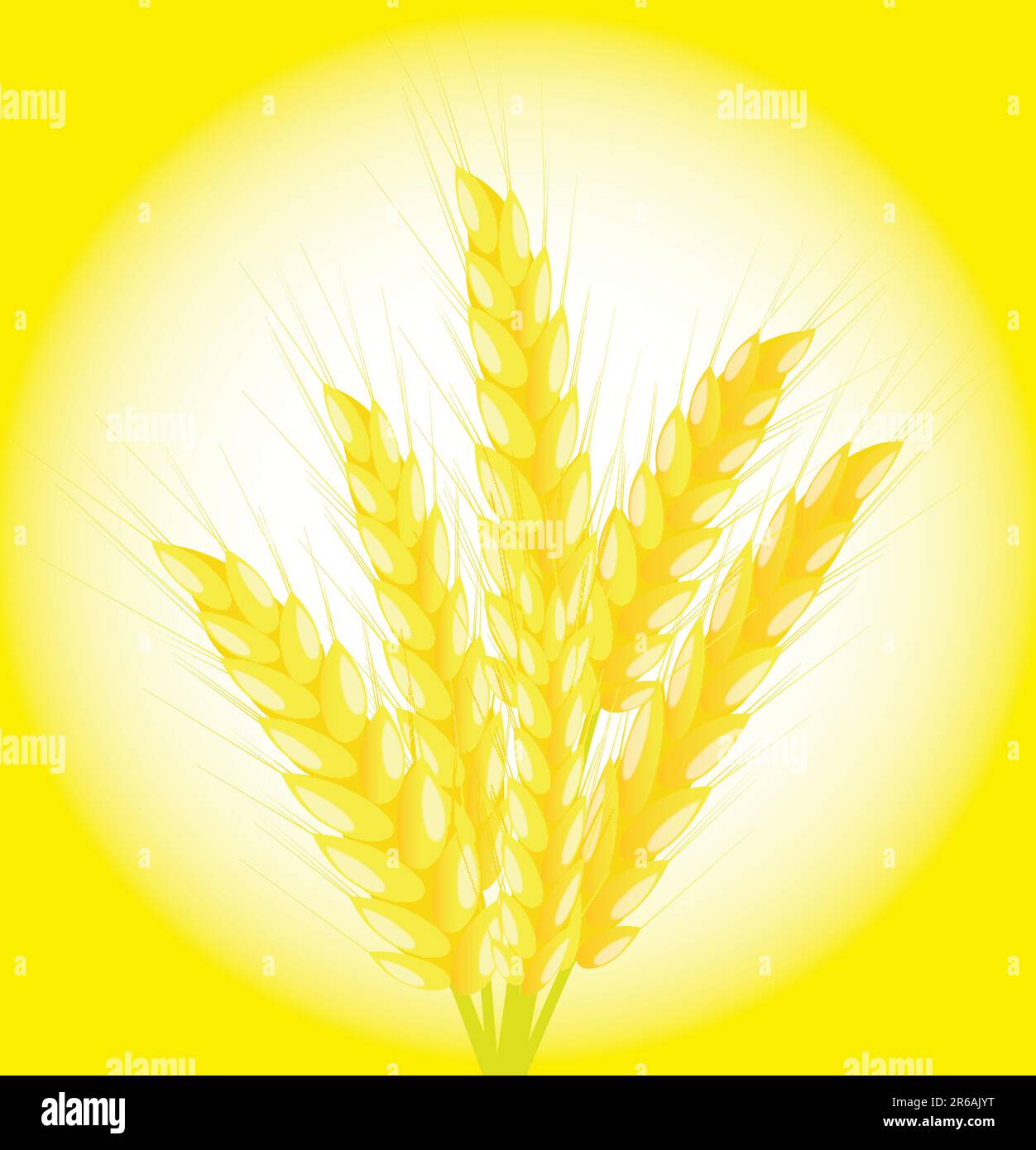 Banner of a bunch of ears of wheat on a yellow background Stock Vector